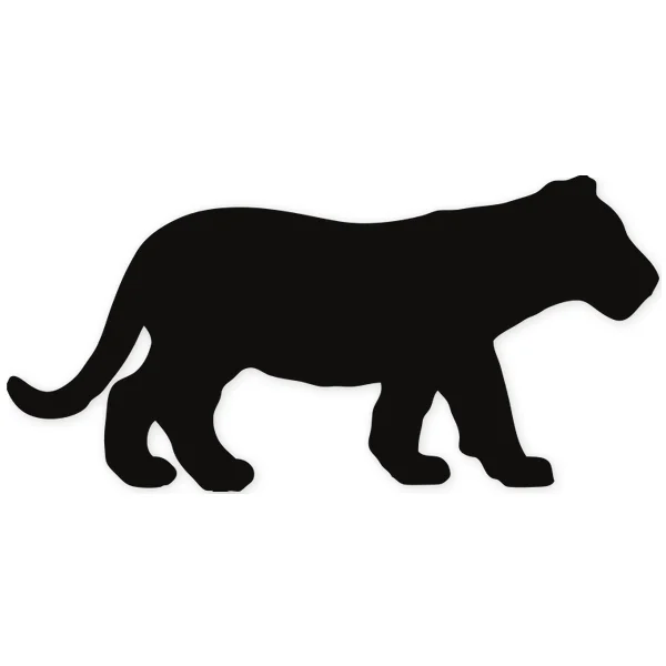 feline ยท tiger ยท lion