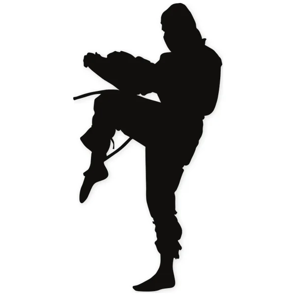 ninja · oriental · artes marciales · lucha