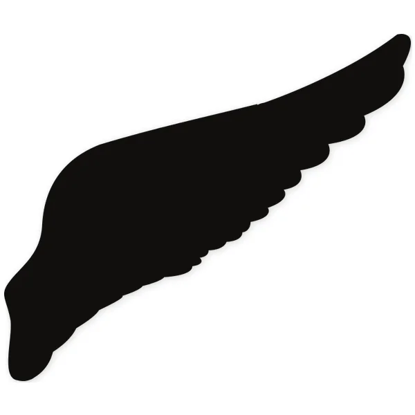 Black silhouette of a wing with defined feathers, angled upwards and right, symbolizing flight.