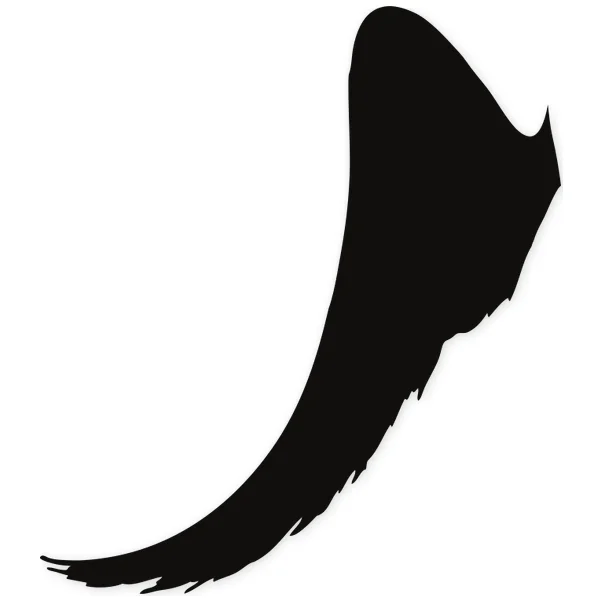 wings · fly