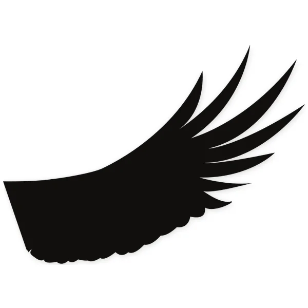 Ala negra estilizada con plumas que se curvan hacia la derecha, con un borde inferior festoneado.