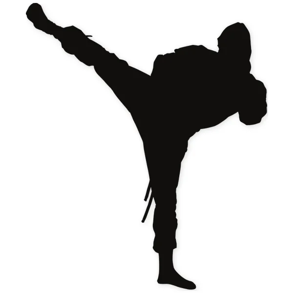 ninja · oriental · martial arts · fight