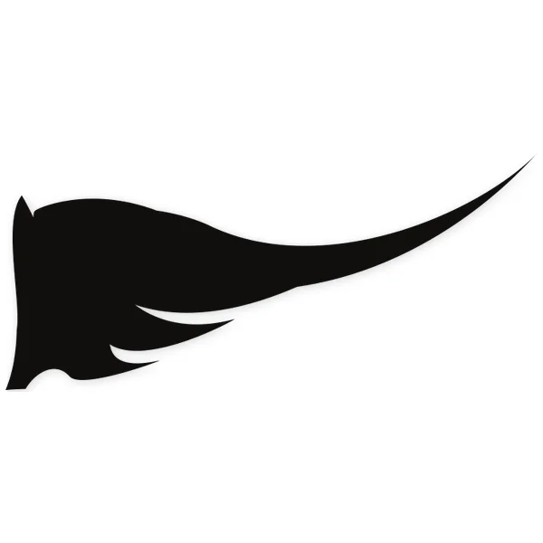 alas · volar