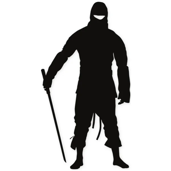katana · ninja · oriental · martial arts · fight