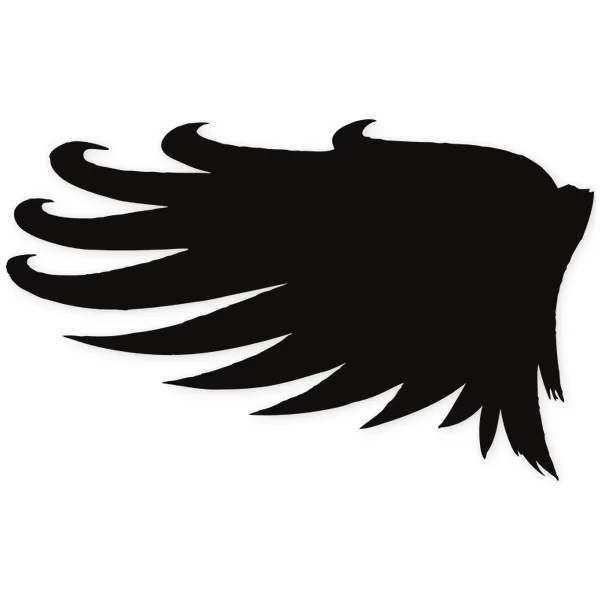 alas · volar