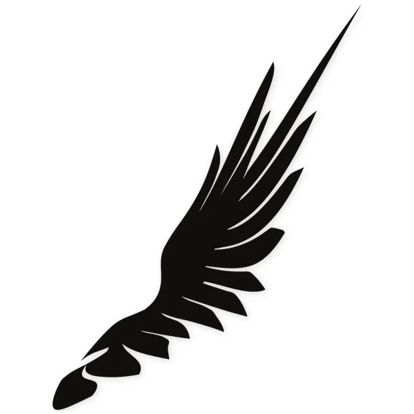 wings · fly