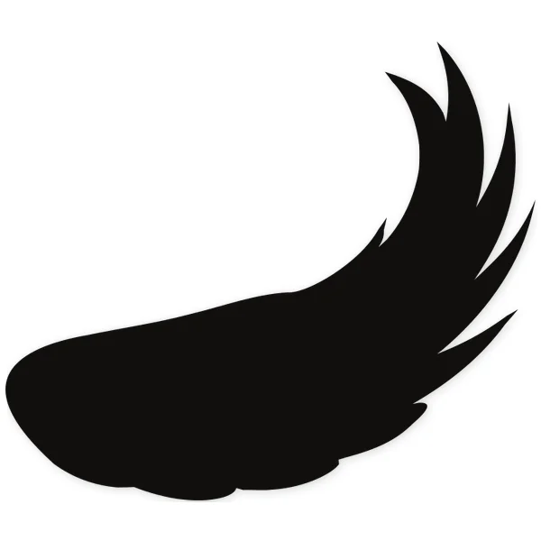 alas · volar