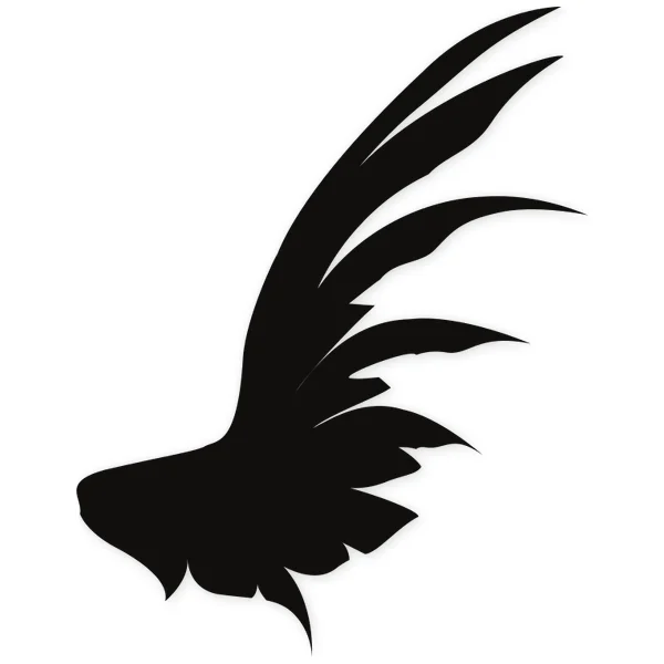 wings · fly