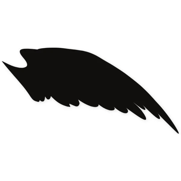 Stylized black wing with a serrated bottom edge resembling feathers, suggesting movement and lightness.