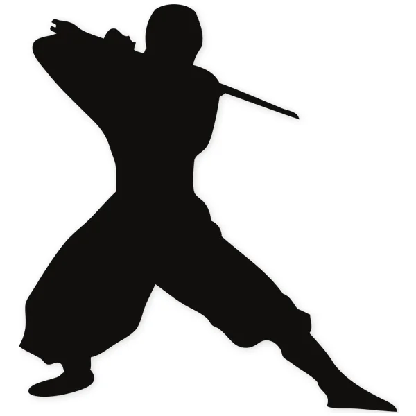 katana · ninja · martial arts · fight