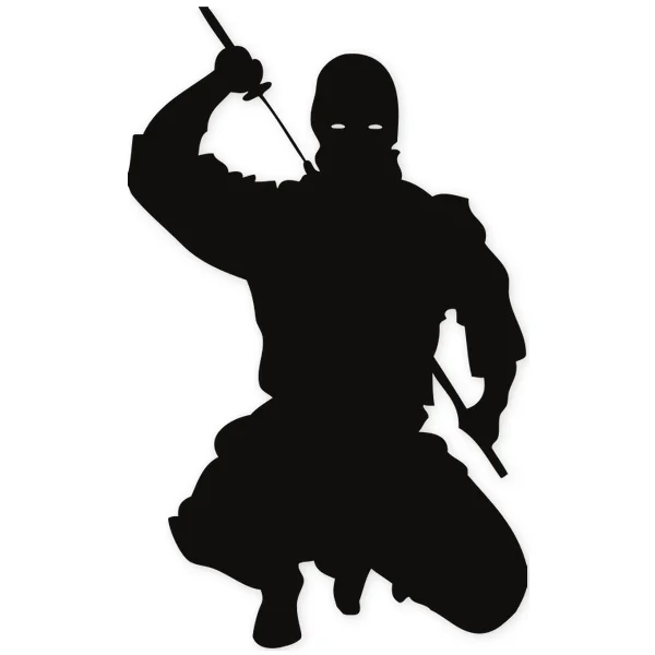 katana · ninja · oriental · martial arts · fight