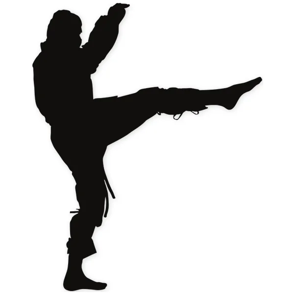 ninja · oriental · artes marciales · lucha