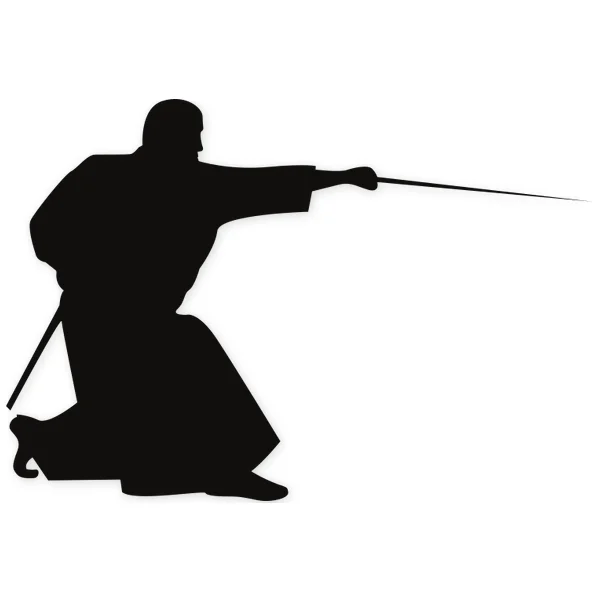 katana · ninja · oriental · martial arts · fight