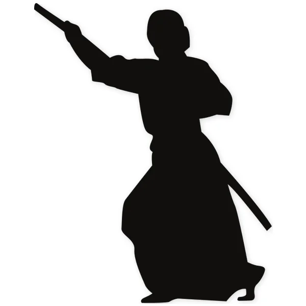 katana · ninja · oriental · martial arts · fight