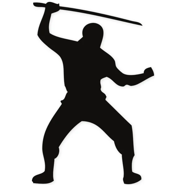 katana · ninja · martial arts · fight