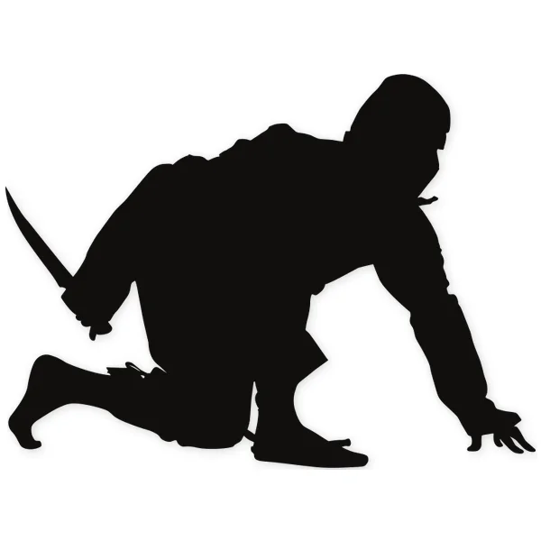 ninja · oriental · martial arts · fight
