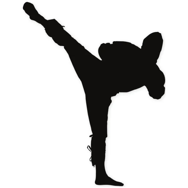 oriental · artes marciales · lucha