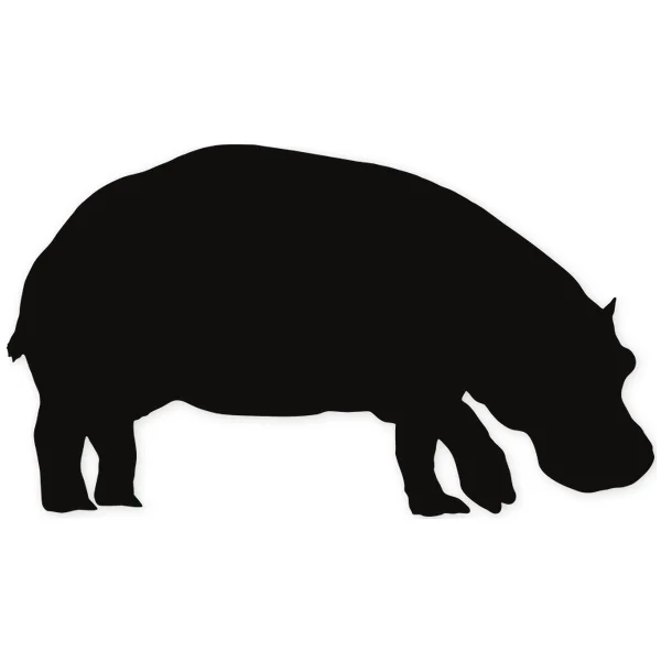 hippo