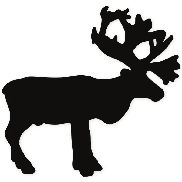 moose · horns