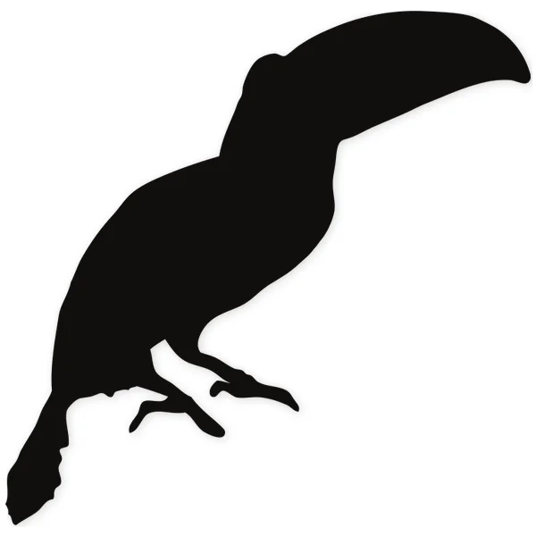 tucan · beak · bird