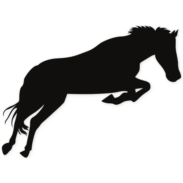 horse · jump