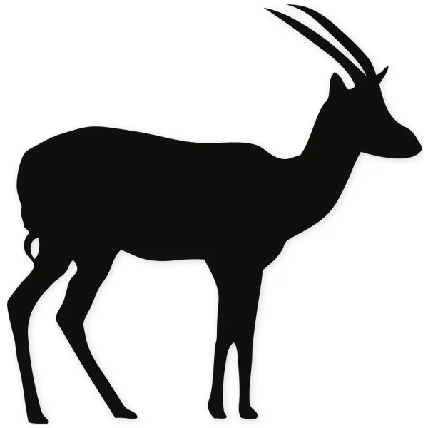 gazelle · horns
