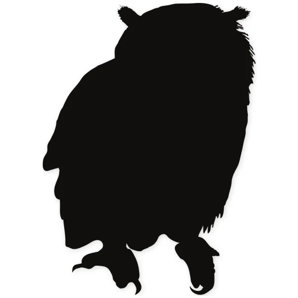 Owl · bird