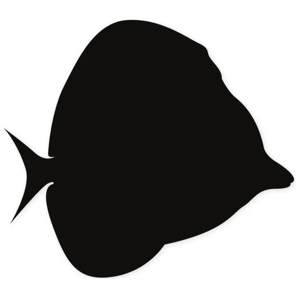 tropical · fish · water