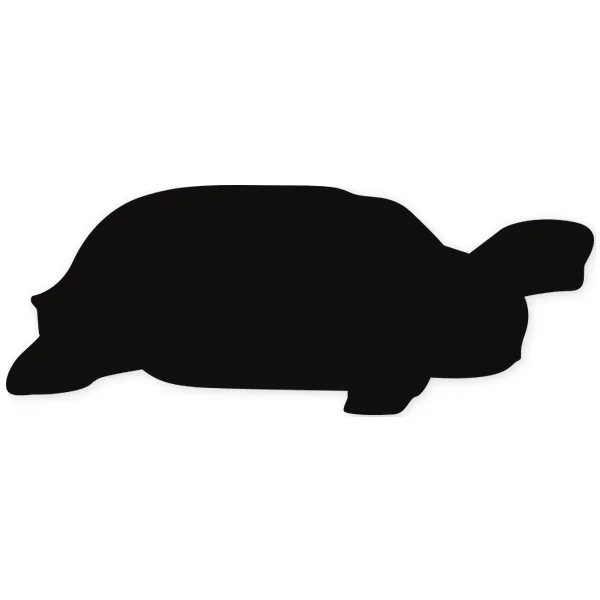 turtle · turtle · slow