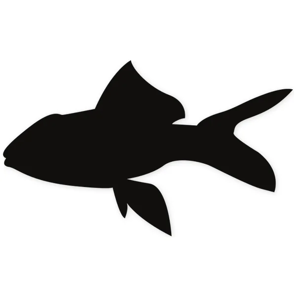 tropical · fish · water