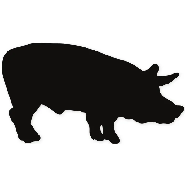 pig