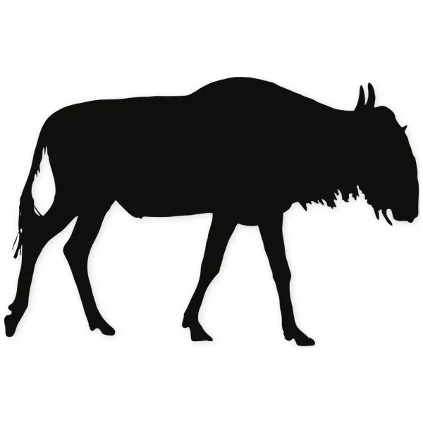 antilope