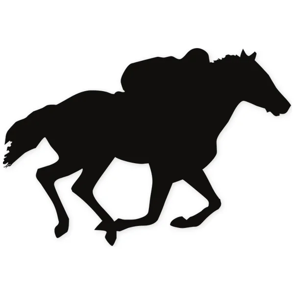rider · hipica · race · horse