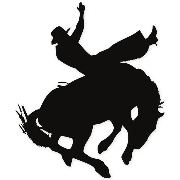 rodeo · cowboy · cowgirl · horse