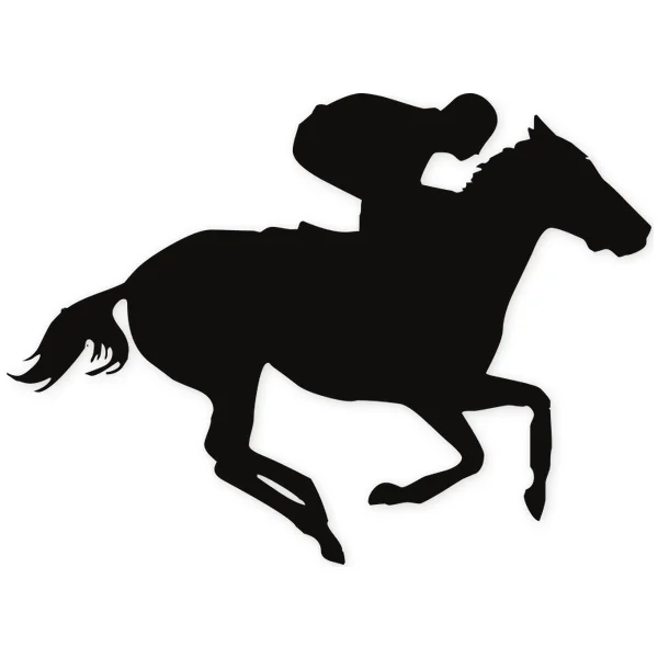 rider · race · horse