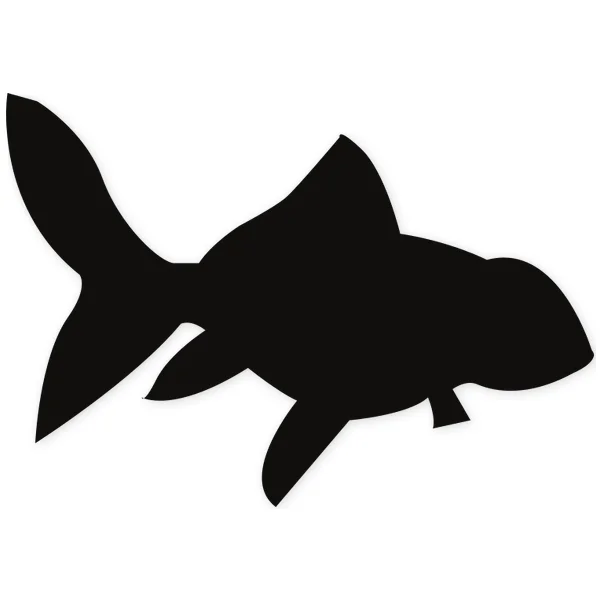 tropical · fish · water