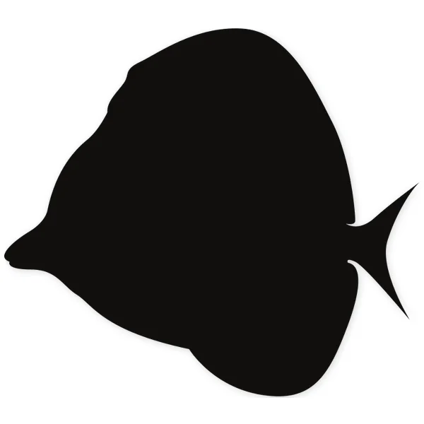 tropical · fish · water