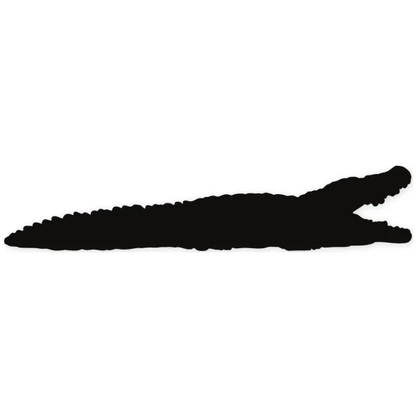crocodile · water