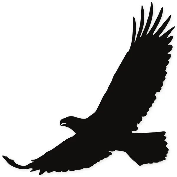 eagle · fly