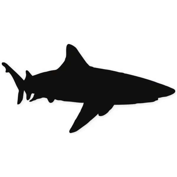 shark · water