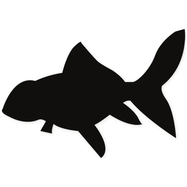 tropical · fish · water