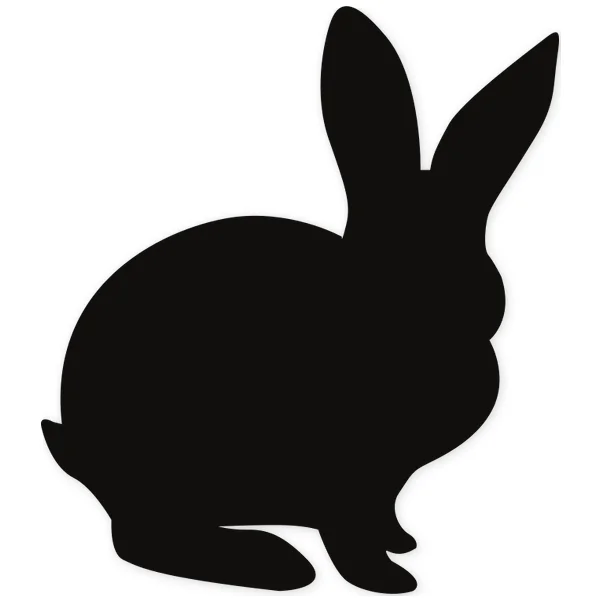 conejo