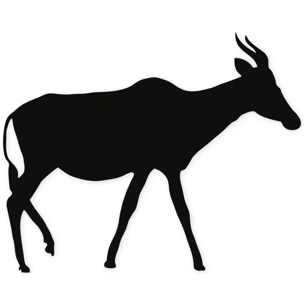 antilope · gazelle · horns