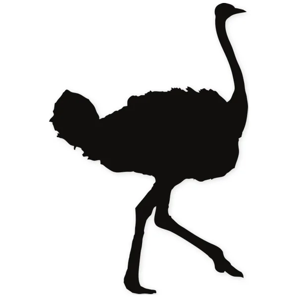 Silueta negra de un avestruz caminando, con cuello largo y estilizado y patas delgadas.