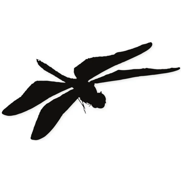 libelula · insect