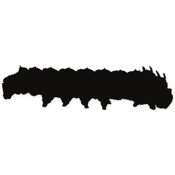 worm · insect