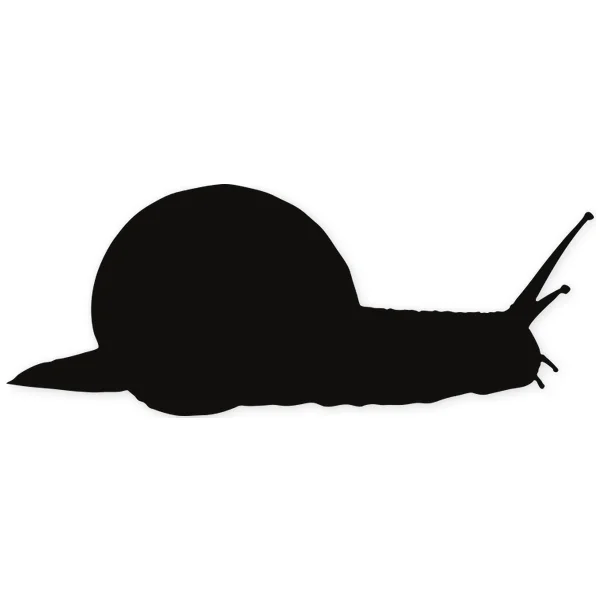 snail ยท slow