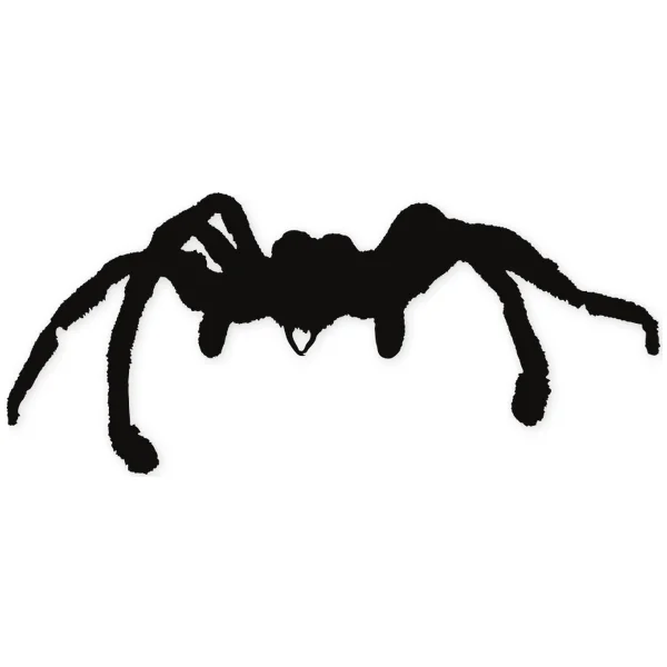 spider · insect