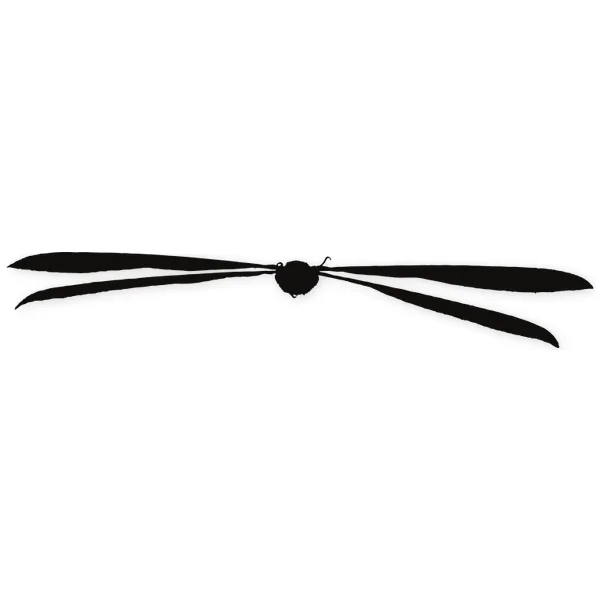 libelula · insect