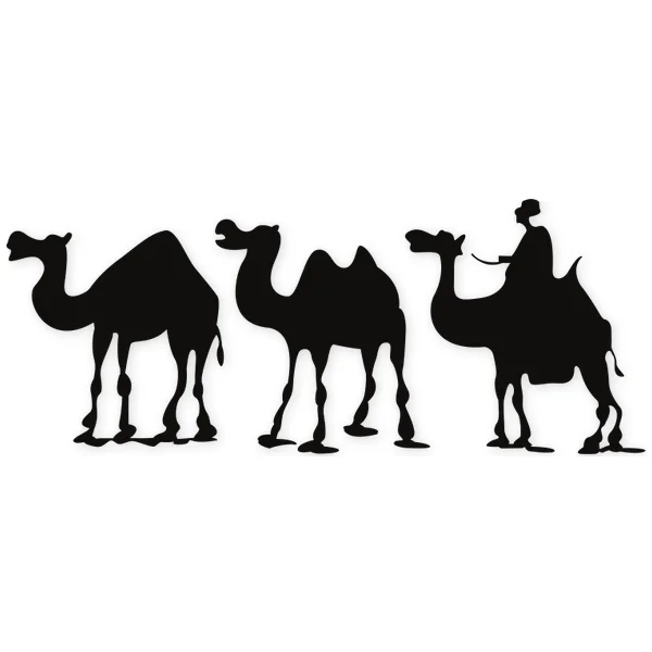 desert · camel · african
